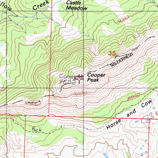 Topographic Map of Cooper Peak, CA