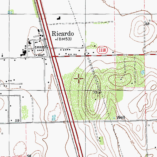 Topographic Map of Ricardo Census Designated Place, TX