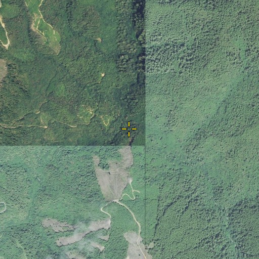 Aerial/Satellite Image of Copper Creek, CA