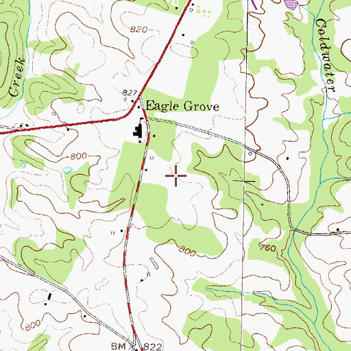 Topographic Map of Eagle Grove Census Designated Place, GA