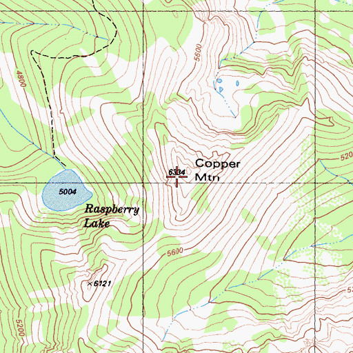 Topographic Map of Copper Mountain, CA