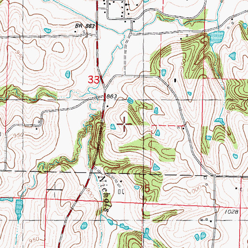 Topographic Map of New Point Census Designated Place, MO