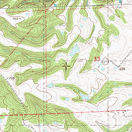 Topographic Map of Ozora Census Designated Place, MO