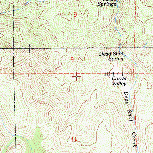 Topographic Map of Corral Valley, CA