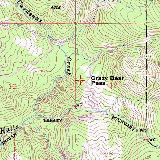 Topographic Map of Crazy Bear Pass, CA