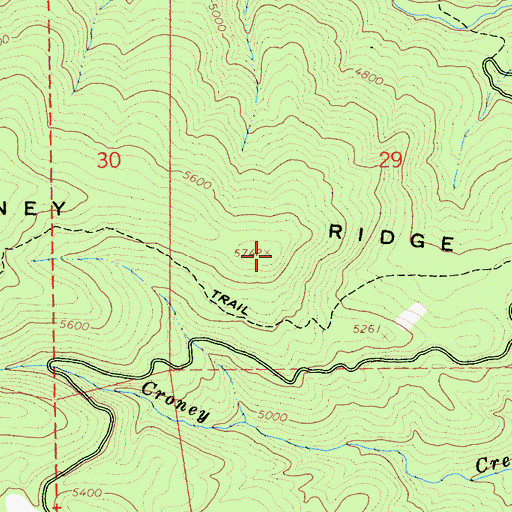Topographic Map of Croney Ridge, CA
