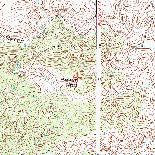 Topographic Map of Baker Mountain, AZ