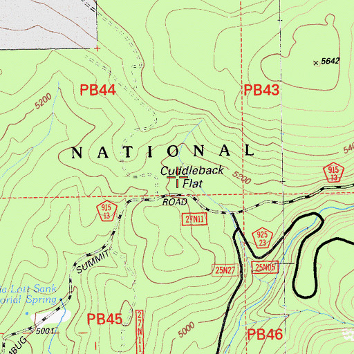 Topographic Map of Cuddleback Flat, CA