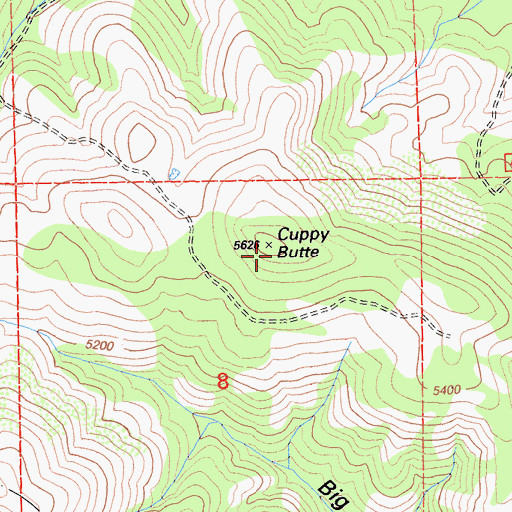 Topographic Map of Cuppy Butte, CA