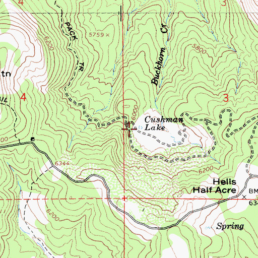 Topographic Map of Cushman Lake, CA