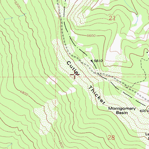 Topographic Map of Cutler Thicker, CA