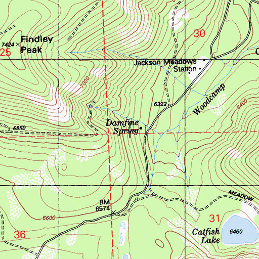 Topographic Map of Damfine Spring, CA