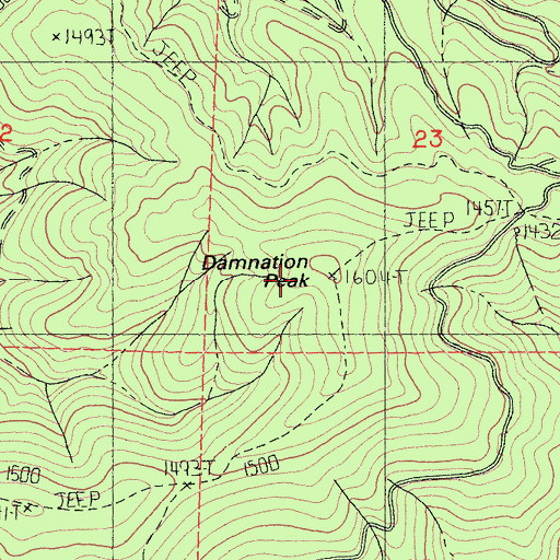 Topographic Map of Damnation Peak, CA