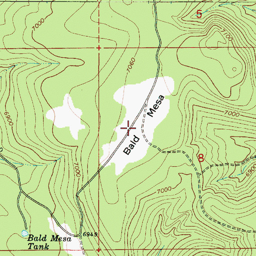 Topographic Map of Bald Mesa, AZ