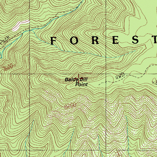Topographic Map of Baldy Bill Point, AZ