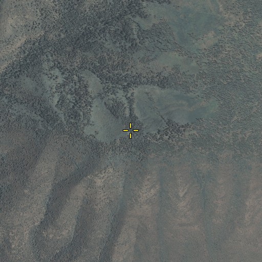 Aerial/Satellite Image of Baldy Bill Point, AZ