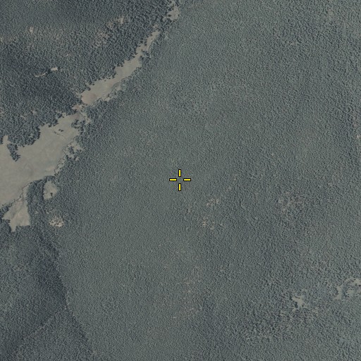 Aerial/Satellite Image of Mount Baldy Wilderness, AZ