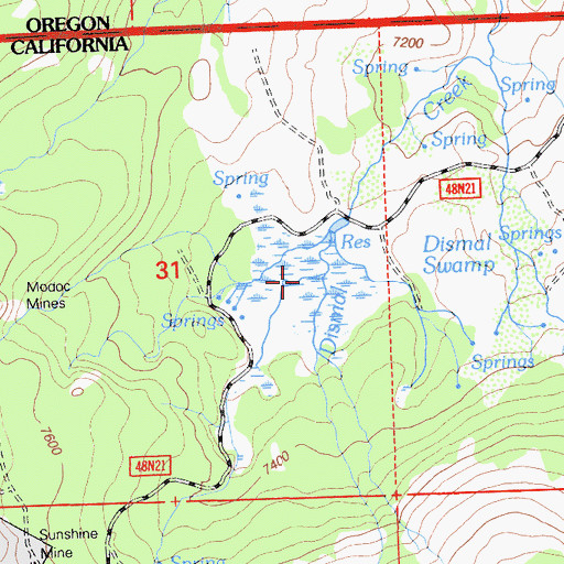 Topographic Map of Dismal Swamp, CA