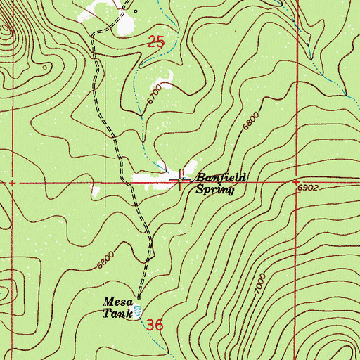 Topographic Map of Banfield Spring, AZ