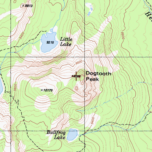 Topographic Map of Dogtooth Peak, CA