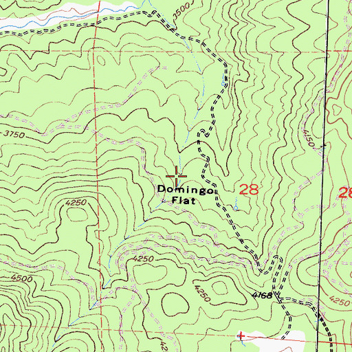 Topographic Map of Domingo Flat, CA