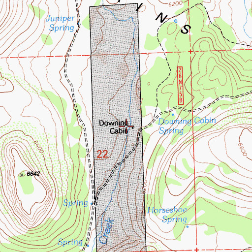 Topographic Map of Downing Cabin, CA