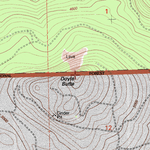 Topographic Map of Doyle Butte, CA
