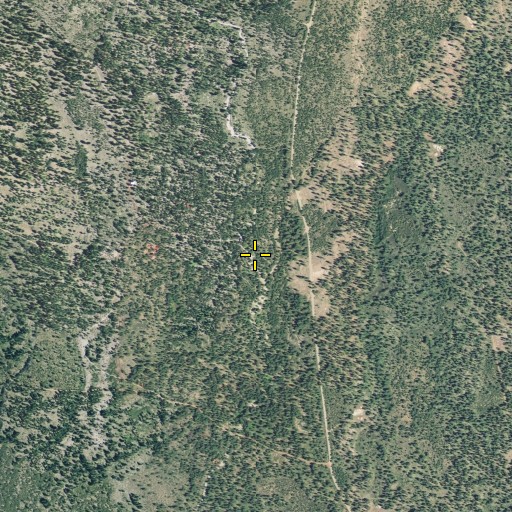 Aerial/Satellite Image of Dry Creek, CA