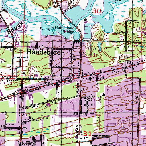 Topographic Map of Handsboro Presbyterian Church, MS