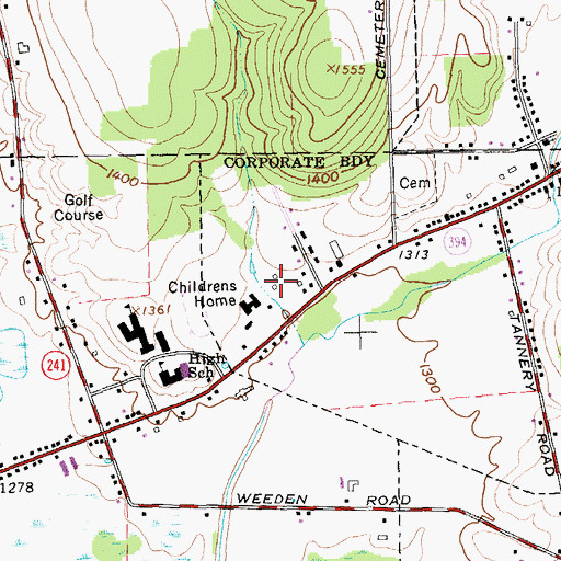Topographic Map of Randolph Academy, NY