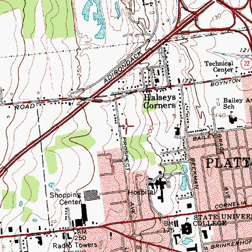Topographic Map of New Life Christian Academy, NY