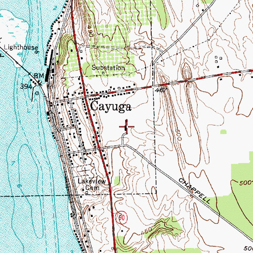 Topographic Map of Cayuga Elementary School, NY