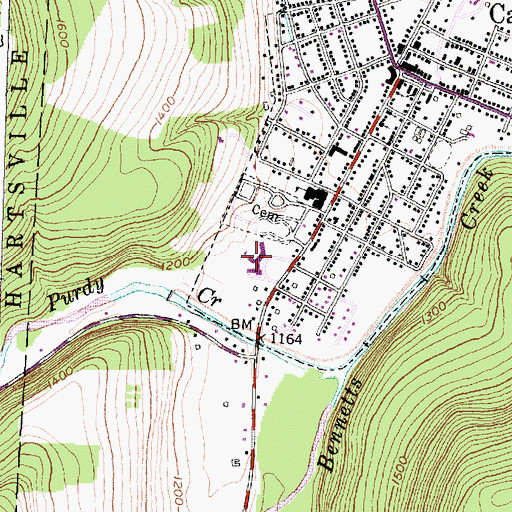 Topographic Map of Canisteo - Greenwood High School, NY