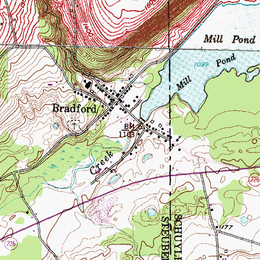 Topographic Map of Bradford Baptist Church, NY