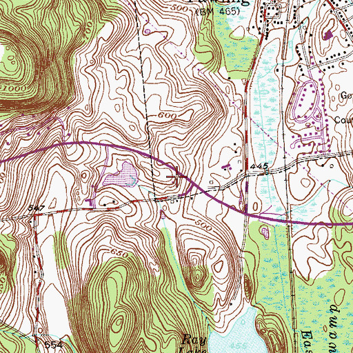 Topographic Map of Duane Lake Academy, NY