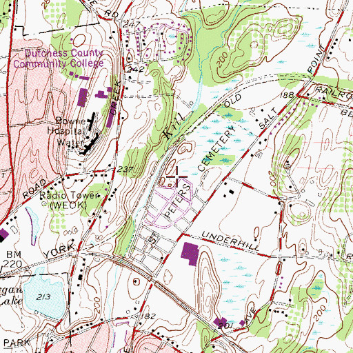 Topographic Map of Saint Peters Catholic Church, NY
