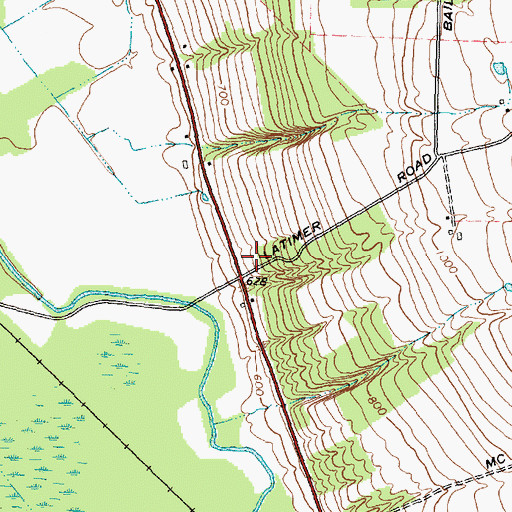 Topographic Map of Berean Bible Church, NY