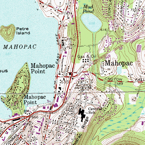 Topographic Map of Temple Beth Shalom, NY
