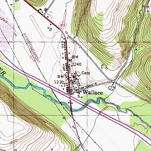 Topographic Map of Wallace Wesleyan Church, NY