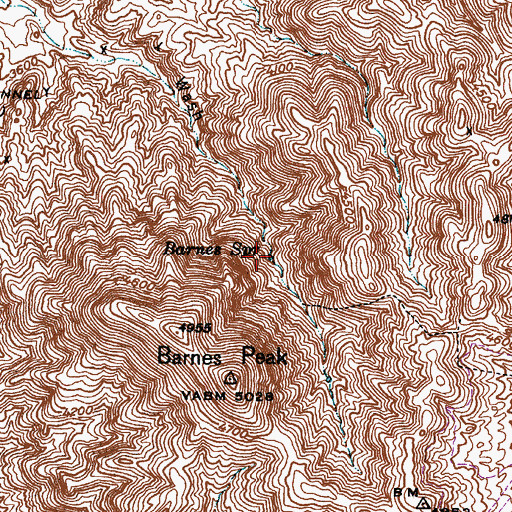 Topographic Map of Barnes Spring, AZ