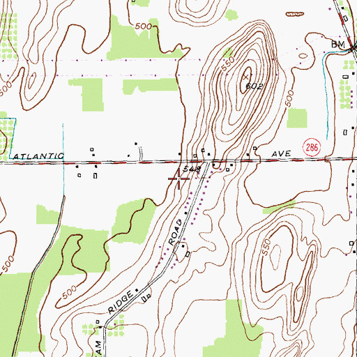 Topographic Map of New Life Bible Church, NY