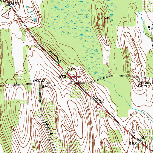 Topographic Map of Sunnyside Community Church, NY