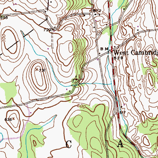 Topographic Map of Whiteside Church, NY