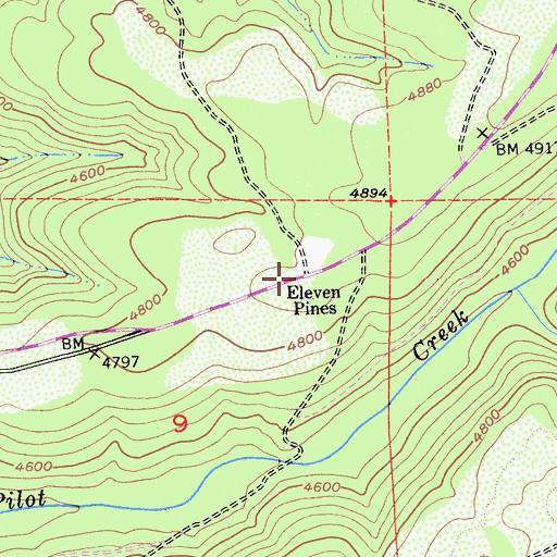 Topographic Map of Eleven Pines, CA