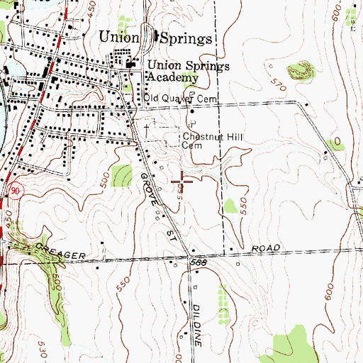 Topographic Map of Southern Springs Mobile Home Park, NY