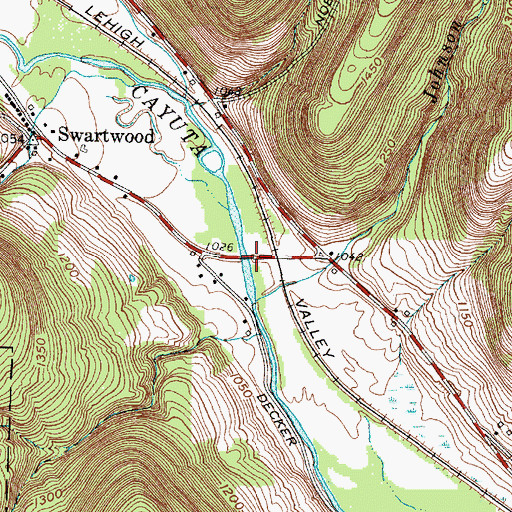 Topographic Map of Cayuta Creek Bridge, NY
