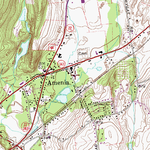 Topographic Map of Amenia Town Hall, NY