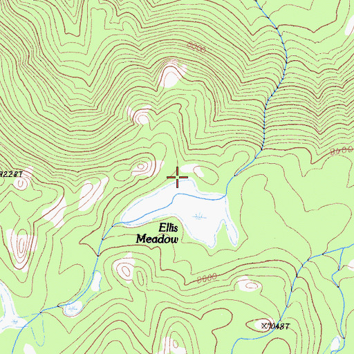Topographic Map of Ellis Meadow, CA