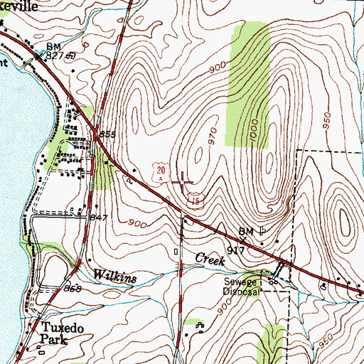 Topographic Map of Conesus Lake Nursing Home, NY