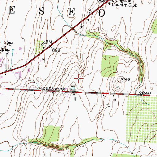 Topographic Map of Morgan Estates Assisted Living Center, NY